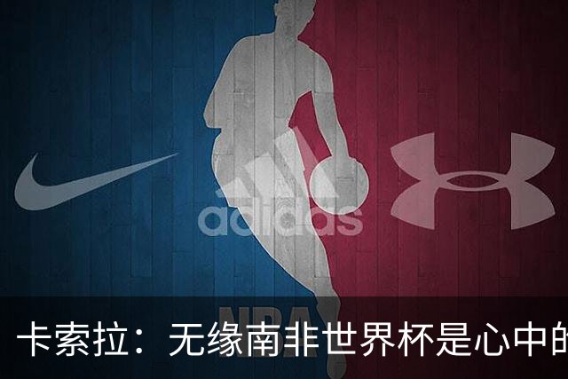 卡索拉：无缘南非世界杯是心中的刺